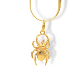 Cadena con escarabajo rinoceronte mediano vista cercana